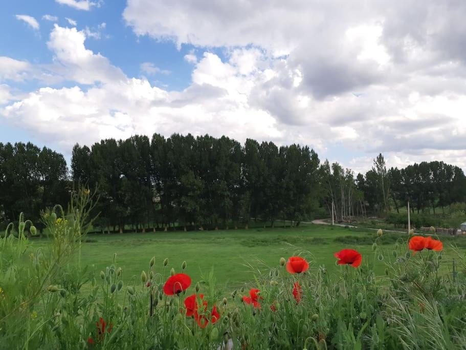 Casa Rural La Endrina Terriente 외부 사진